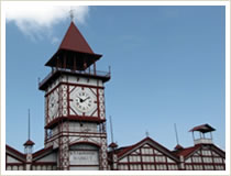 Stabroek Market